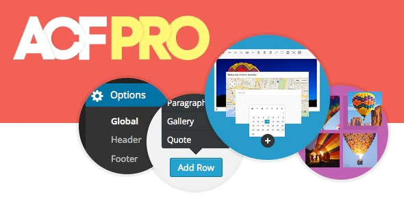 Advanced Custom Fields Pro v6.2.10