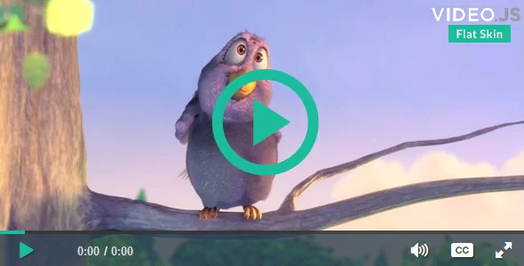 Flat Skin Retina for VideoJS 4