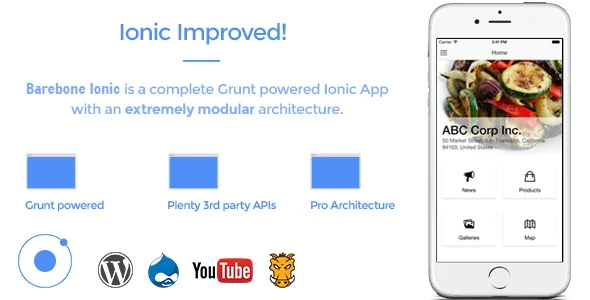 Barebone Ionic 2.24 - Full Application