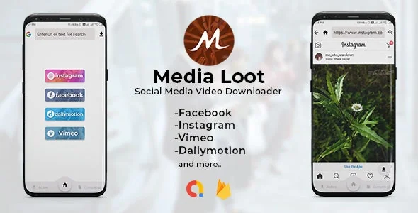 Media Loot v1.0 - The Ultimate Social Media Downloader