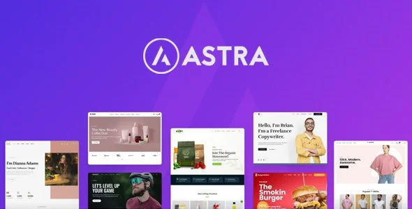 Astra Theme 4.11.14 + Portfolio 1.13.2 – Most Popular WordPress Theme