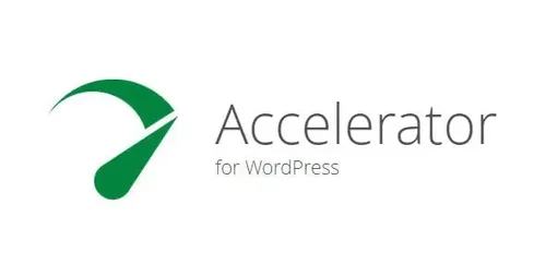 More information about "Seraphinite Accelerator"